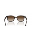 RAY BAN 